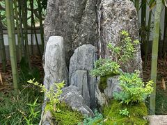 -上海醉白池公园