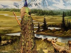 -陕西自然博物馆