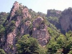 -王顺山国家森林公园
