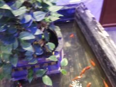 -蟹之国·精品蟹料理(极地店)