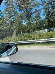 -北京新世纪儿童医院