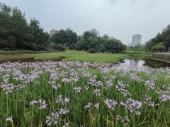 -重庆彩云湖湿地公园