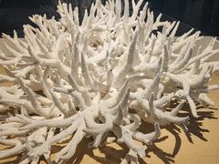 -天津自然博物馆
