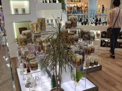 -SCENTBOUTIQUE(侨福芳草地购物中心店)
