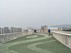 -飞凤山奥体公园