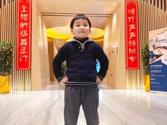 -苏州金鸡湖文博诺富特酒店
