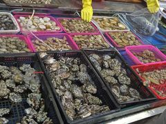 -板桥海鲜广场(文明东店)