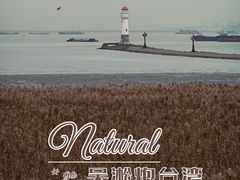 -上海吴淞炮台湾国家湿地公园