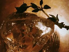 -光音瓦特俱乐部(高新店)