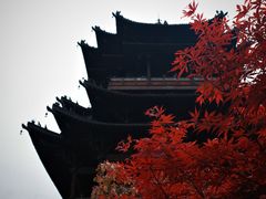 -杭州半山国家森林公园