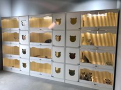 -喵zoo家庭繁育猫舍(尖东智能花园店)
