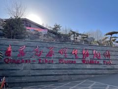 -青藏高原野生动物园