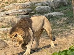 -北京野生动物园