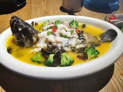 酸汤龙胆鱼-新悦·霞浦海鲜生(上下杭店)