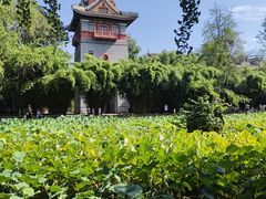 -四川大学(华西校区)