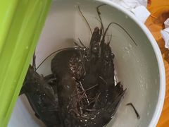 -养牛邓·潮汕牛肉海鲜自助火锅(广州店)