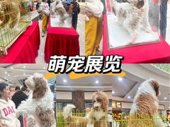 -万达广场(沈阳铁西店)