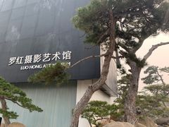 -罗红摄影艺术馆