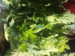 -南山八号火锅(曲江创意谷店)