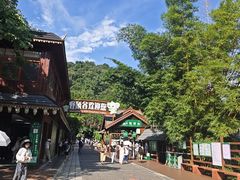 -野象谷景区
