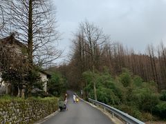 -山王坪喀斯特国家生态公园