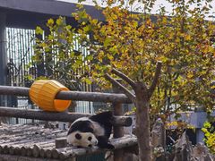 -大连森林动物园