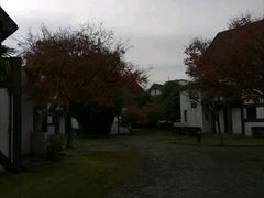 -太阳岛度假酒店