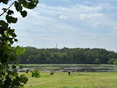 -西溪南古村落
