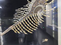 -贝壳王国博物馆