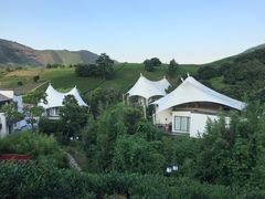 -帐篷客·溪龙茶谷度假酒店