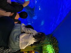 -横店影视城梦幻谷园区