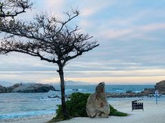 -三亚蜈支洲岛旅游区