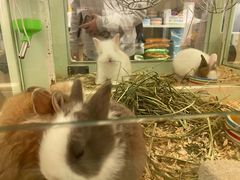 -龙猫仔乐园(惠福东路店)