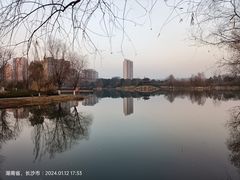 -洋湖国家湿地公园