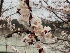 -BUND·FIVE外滩5号(天际店)