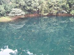 景点-鼎湖山风景区