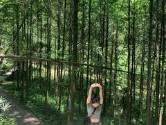 -凤栖山