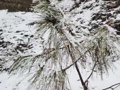 -终南山南五台景区