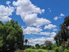 -墨尔本皇家植物园