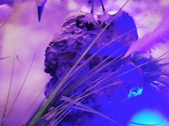 -绿茶餐厅(首开福茂店)