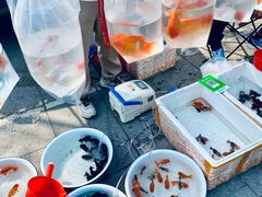 -华声天桥民俗文化园