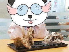 -斯坦星球AI编程·机器人科创·科学实验·信奥·思维·STEM·乐高·竞赛考级(长宁虹桥大融城荟聚中心)