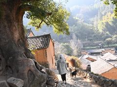-杨家堂村