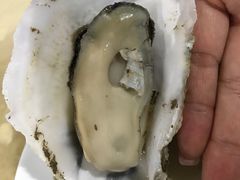 -蠔园山庄(礼乐食街店)