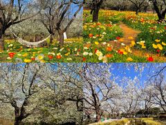 -名花谷生态庄园