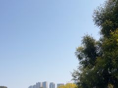 -广西壮族自治区药用植物园