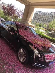 -青岛金沙滩希尔顿酒店·宴会厅