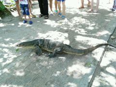 android_upload_pic-东姑阿都拉曼海洋公园