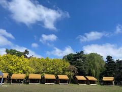 -长春市南湖公园