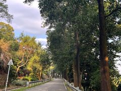 -风云岭森林公园